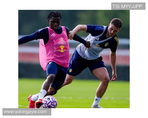 利兹联与纽卡斯尔比赛后球员表现评分分析与总结 利兹联与纽卡斯尔比赛后球员表现评分分析与总结