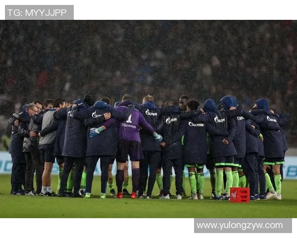 沙尔克04对阵斯图加特首发阵容分析及比赛前瞻 沙尔克04对阵斯图加特首发阵容分析及比赛前瞻